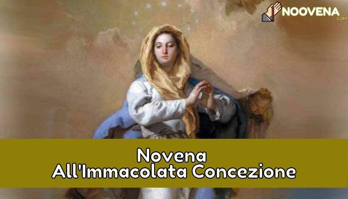 Novena all'immacolata concezione