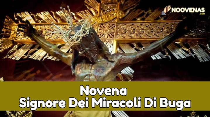 Novena signore dei miracoli di buga