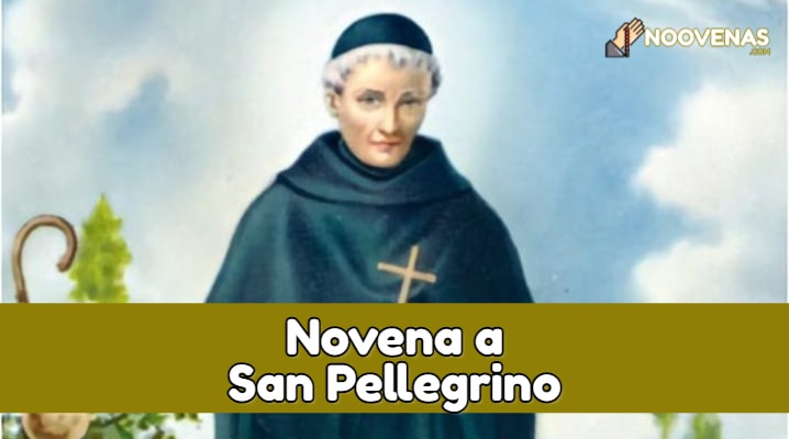 Novena a san pellegrino